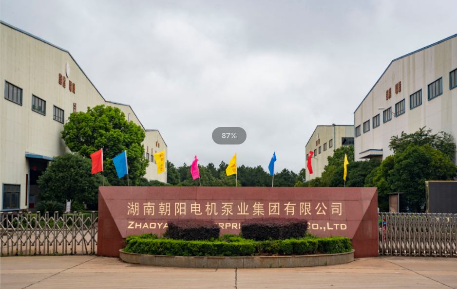 衡東縣政協(xié)走進(jìn)朝陽(yáng)集團開(kāi)展視察指導活動(dòng) 衡東縣政協(xié)走進(jìn)朝陽(yáng)集團開(kāi)展視察指導活動(dòng)
